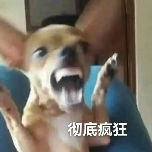 让它跳出各, 加入网易自, entit