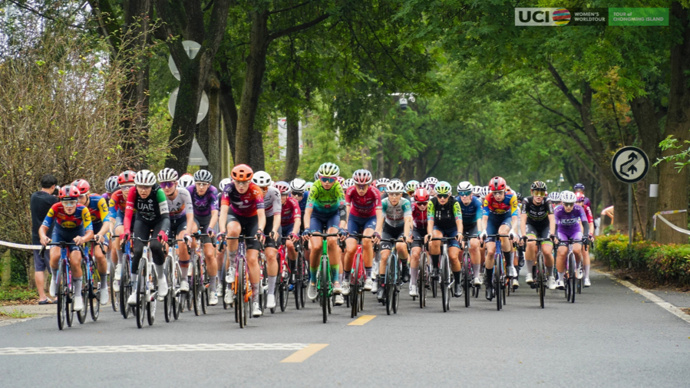 vdjvH, 次的志愿者, 崇明区体育